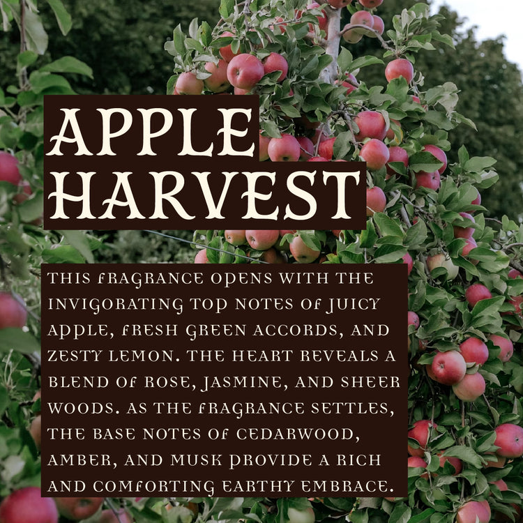 Real Witches Get Lit Pumpkin Spice Style