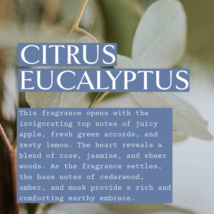 Smart Collection - Citrus Eucalyptus