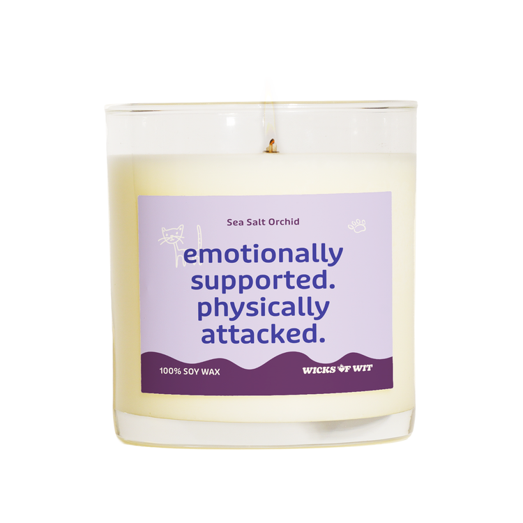 Emotionally Supported. Physically Attacked.