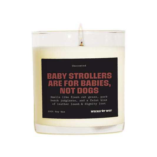 Baby Strollers Are for Babies, Not Dogs