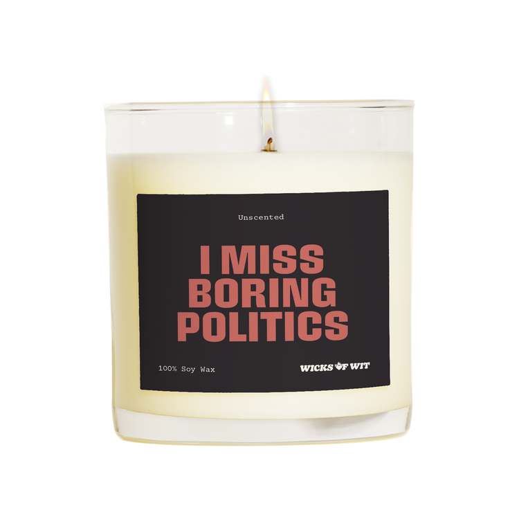 I Miss Boring Politics