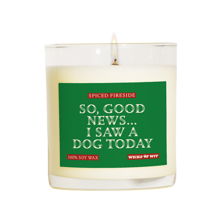 So, good news...I saw a dog today