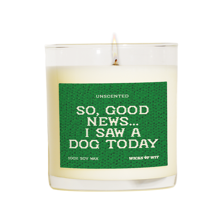 So, good news...I saw a dog today