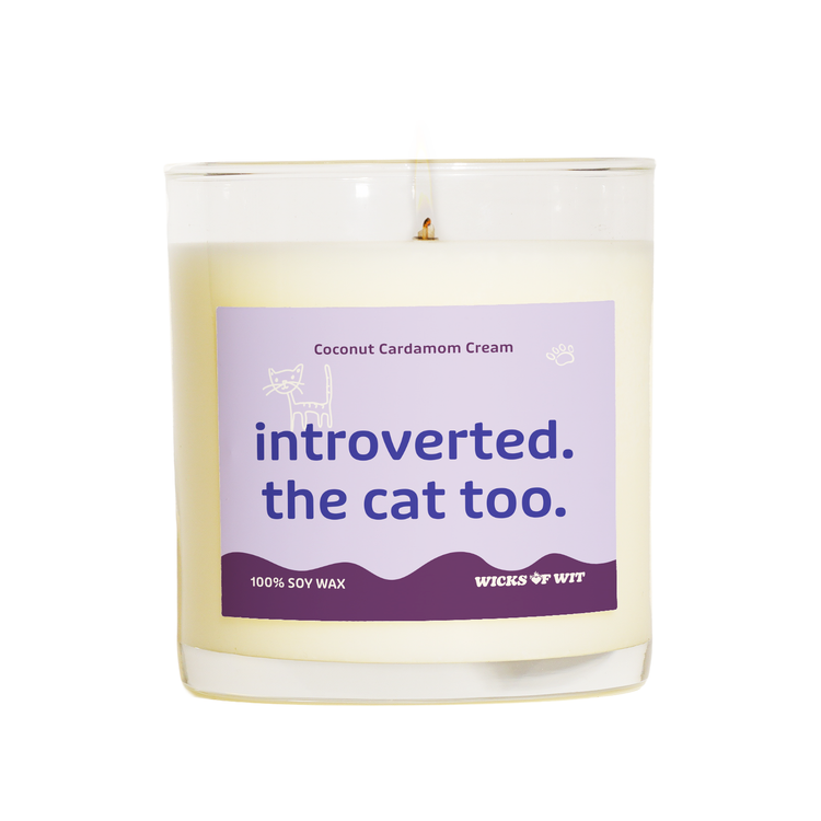 Introverted. The Cat Too.