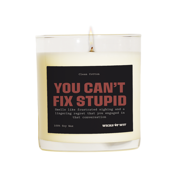Wicks of Wit — You Can’t Fix Stupid scented soy candle, Edgy collection, hand-poured in the USA — front view