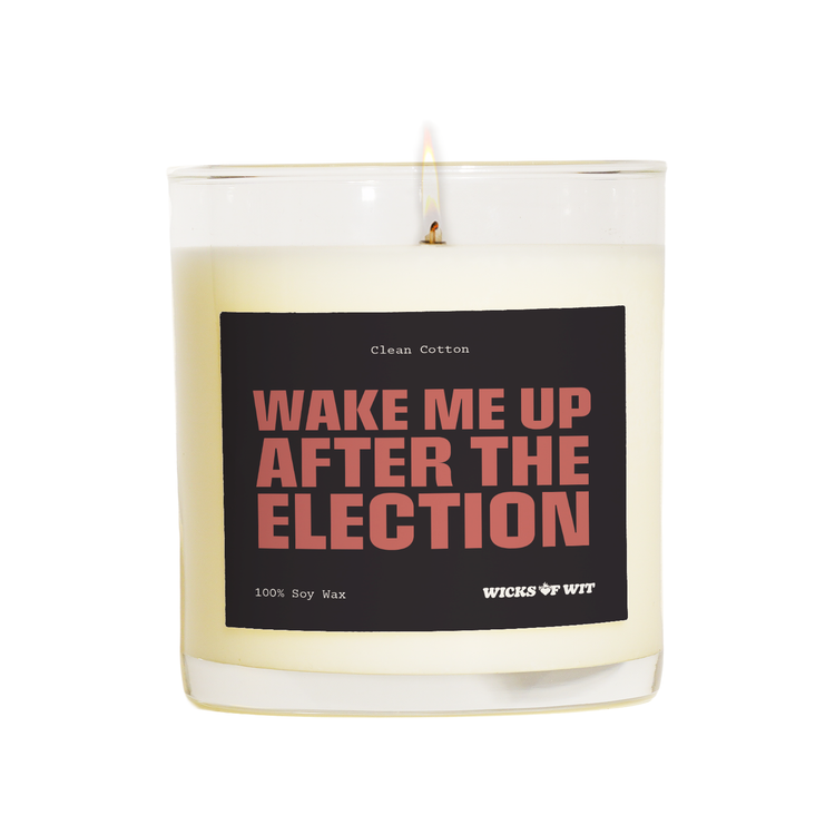 Wake Me Up After the Election