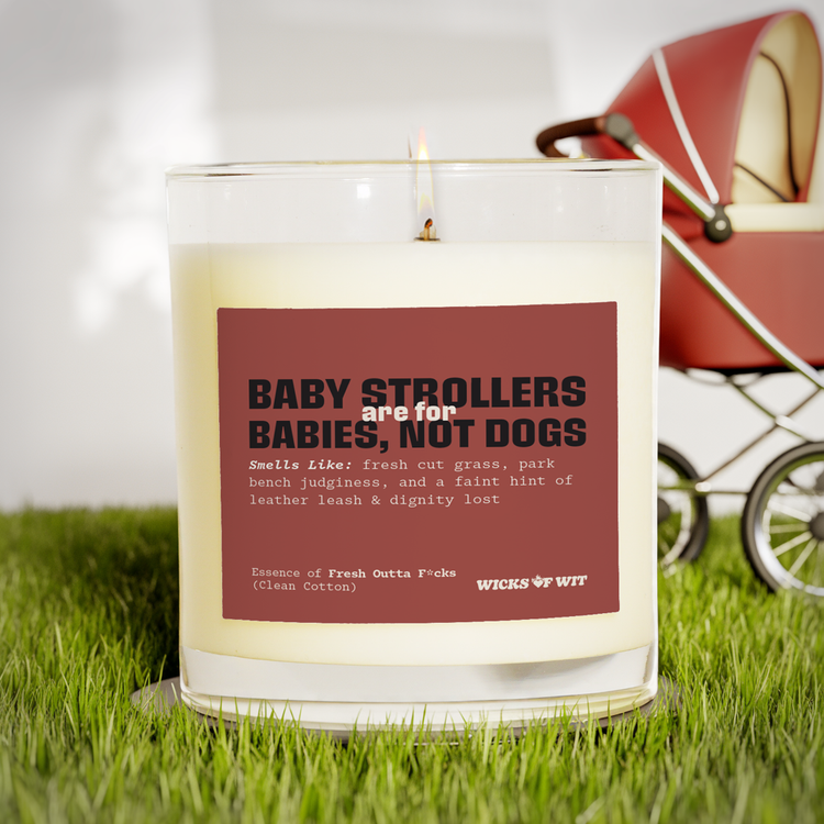 Baby Strollers Are for Babies, Not Dogs