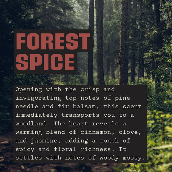 Edgy Scent Forest Spice