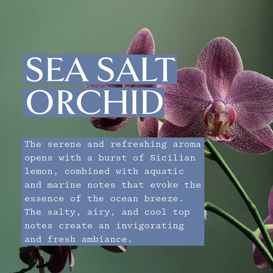 Smart Collection - Sea Salt Orchid