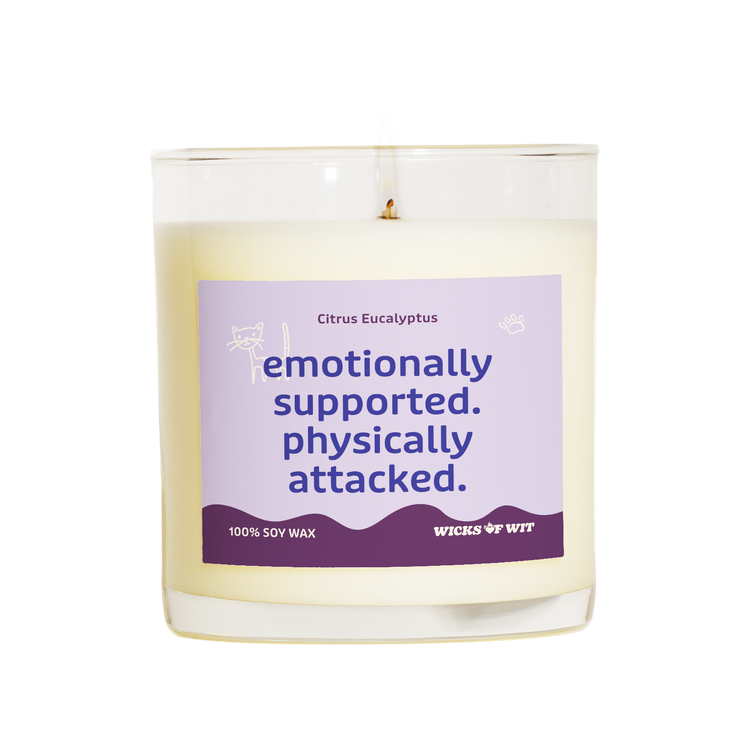 Emotionally Supported. Physically Attacked.