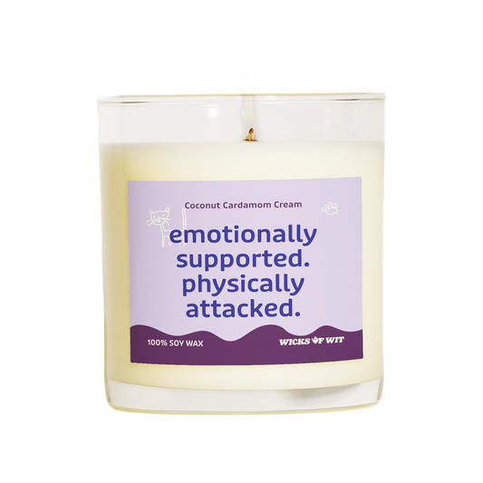 Emotionally Supported. Physically Attacked.