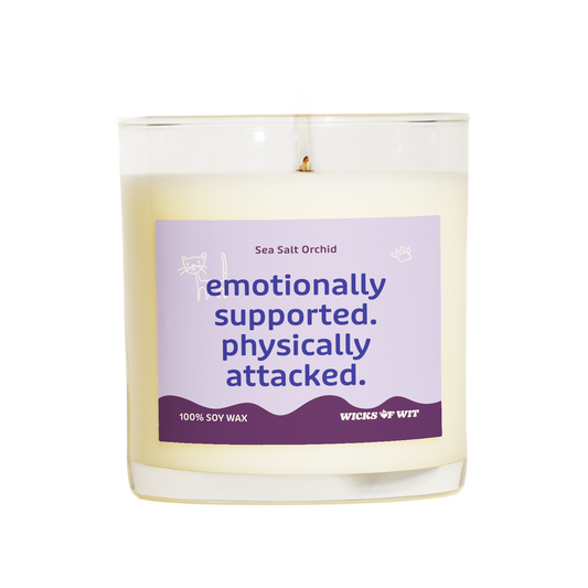 Emotionally Supported. Physically Attacked.
