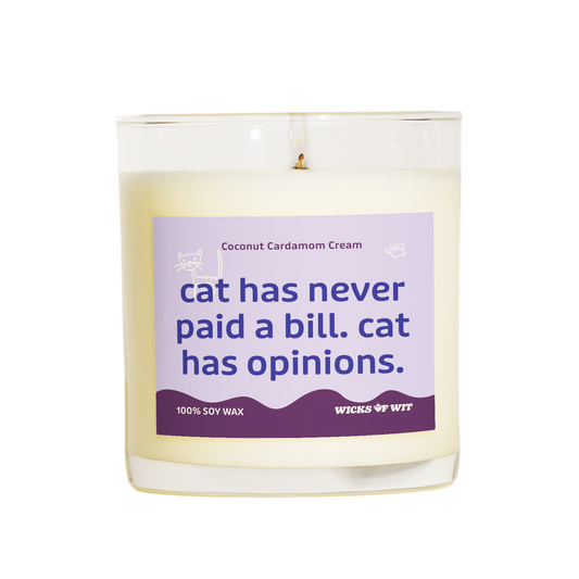 Cat Has Never Paid a Bill. Cat Has Opinions.