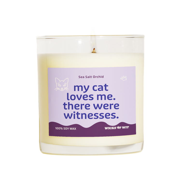 My Cat Loves Me. There Were Witnesses.