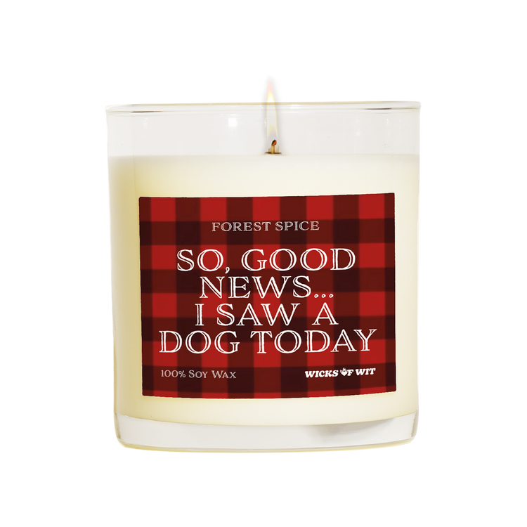 So, good news...I saw a dog today