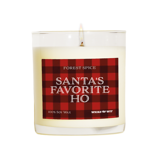 Santa's Favorite Ho