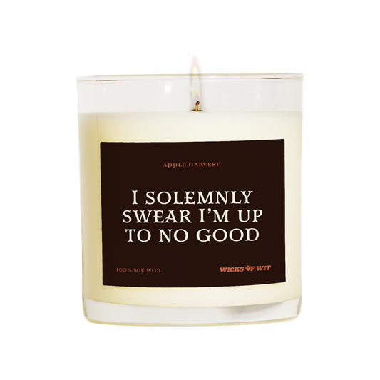 I Solemnly Swear I'm Up to No Good