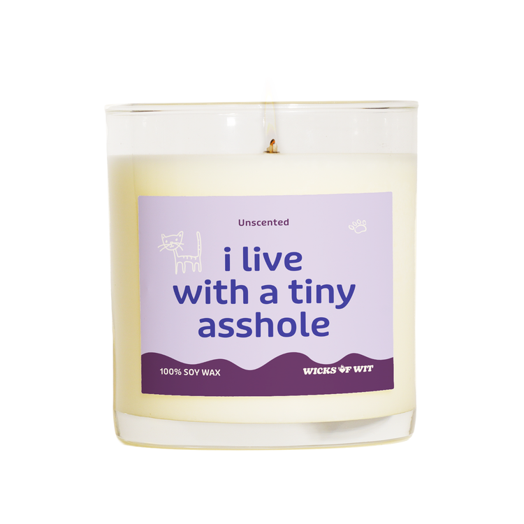 I Live With a Tiny Asshole