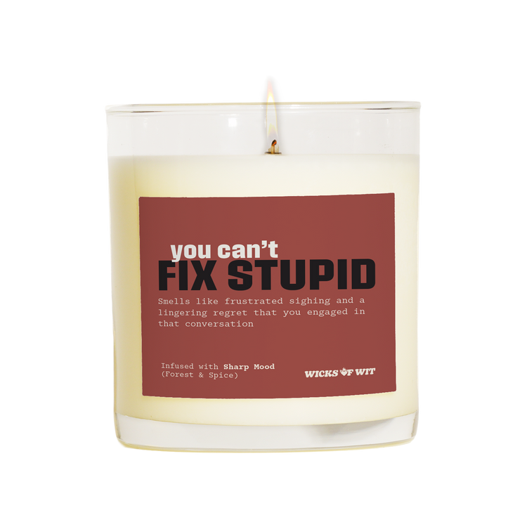 You Can’t Fix Stupid