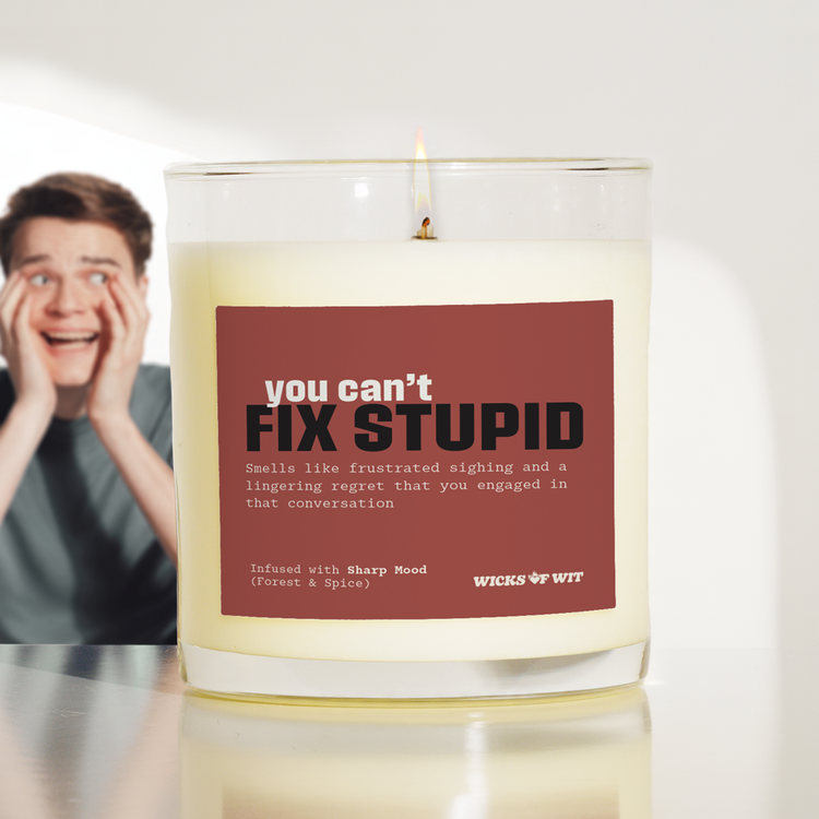You Can’t Fix Stupid